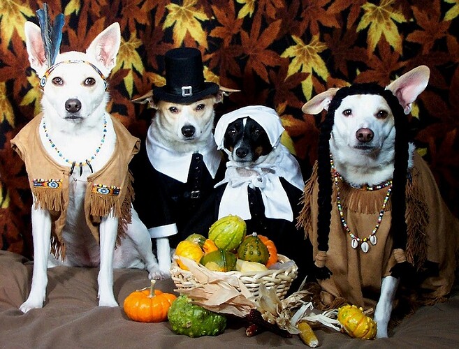 thanksgiving-dogs-free-photo