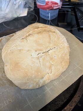 Sourdough loaf 1st batch