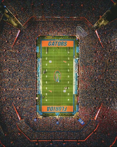 the swamp