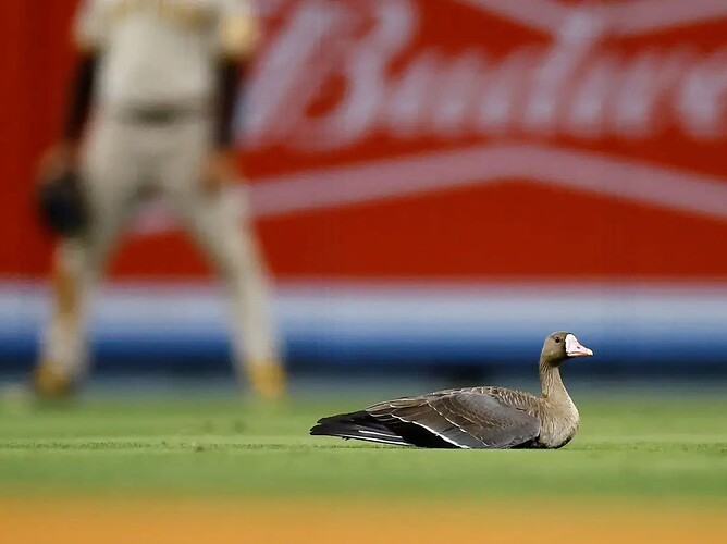 Screenshot 2024-09-19 at 5.24.09 PM