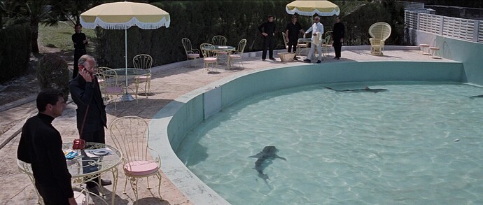 17748378342148049060294406916595