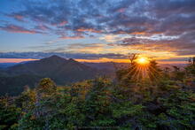 Phelps-Mt-summit-sunset-behind-trees-and-Algonquin-single_1600px